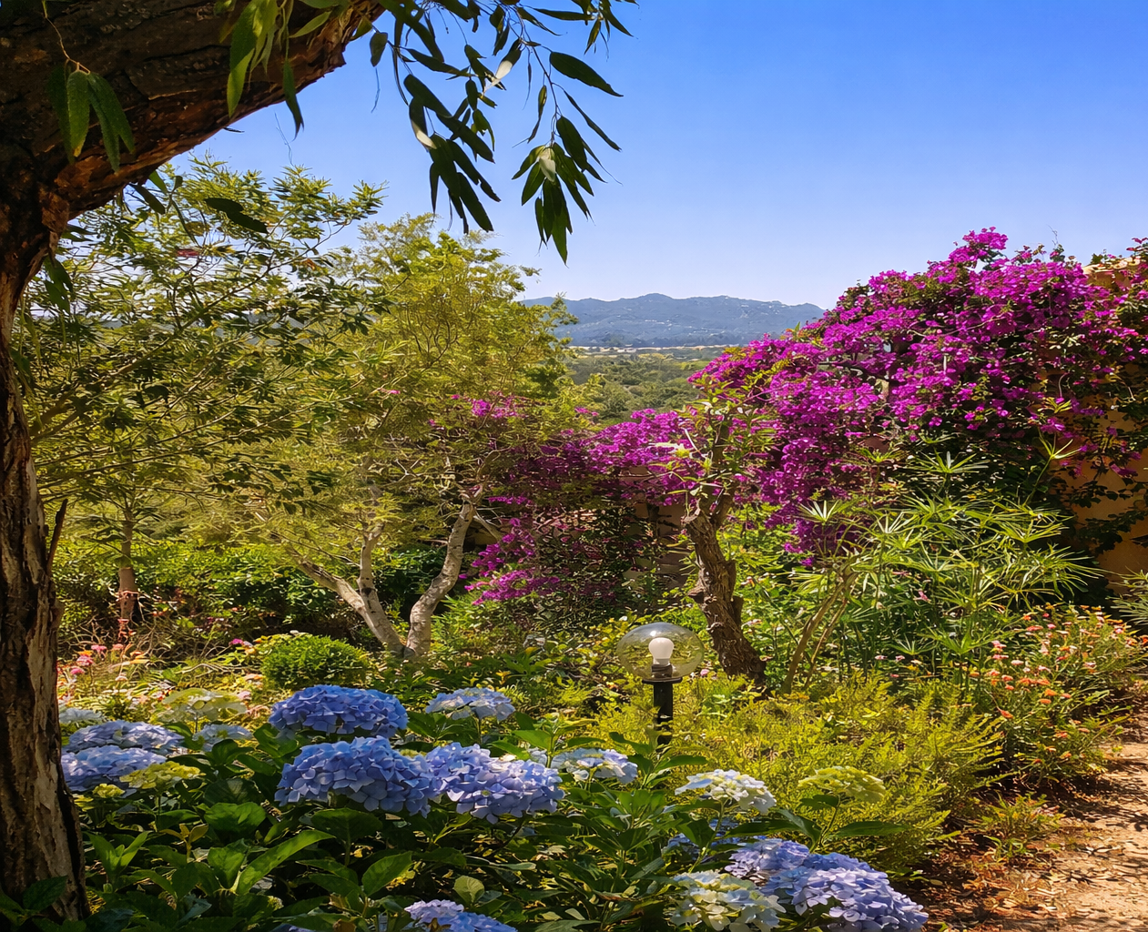Un jardin méditerranéen pour ralentir.