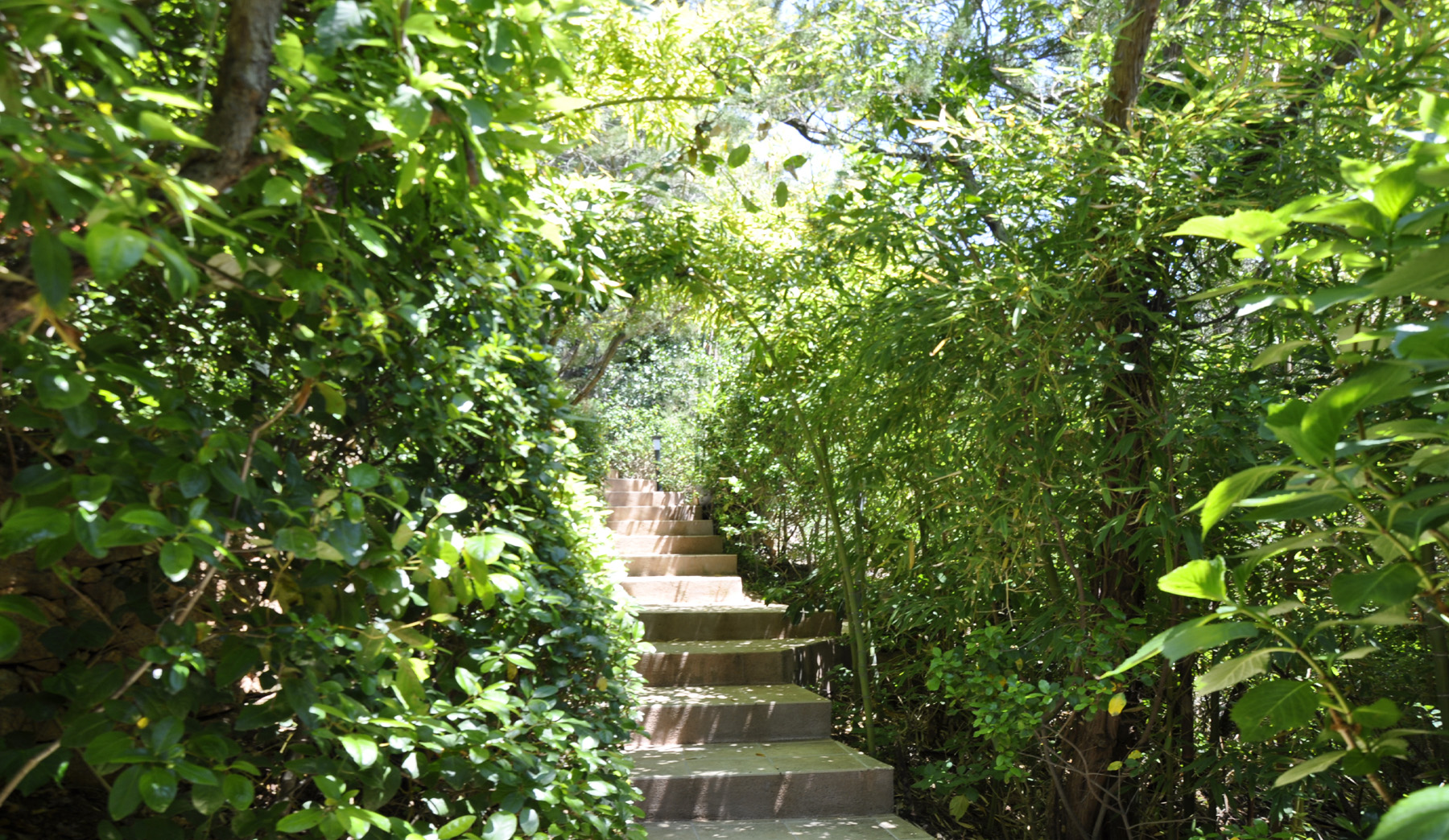Un jardin méditerranéen pour ralentir.